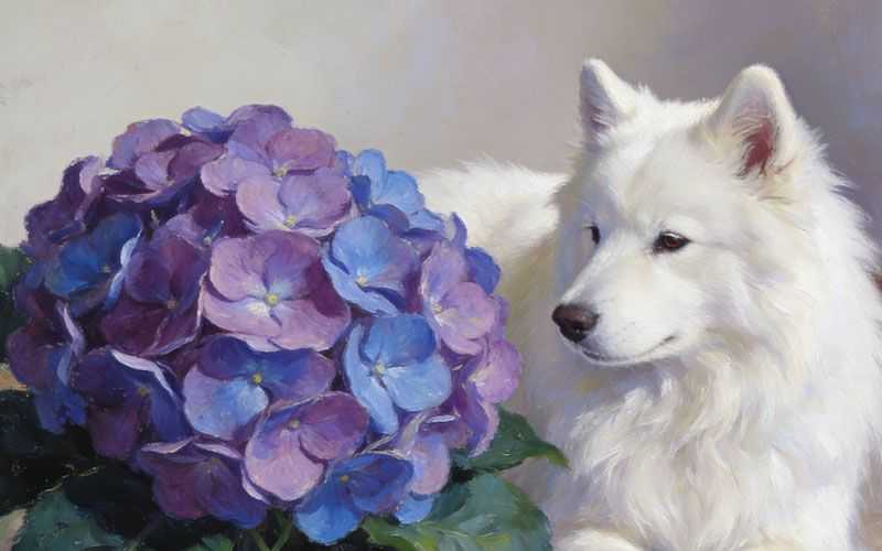 38 Plants, Shrubs, and Trees That Are Safe for Dogs in Your Home or Yard