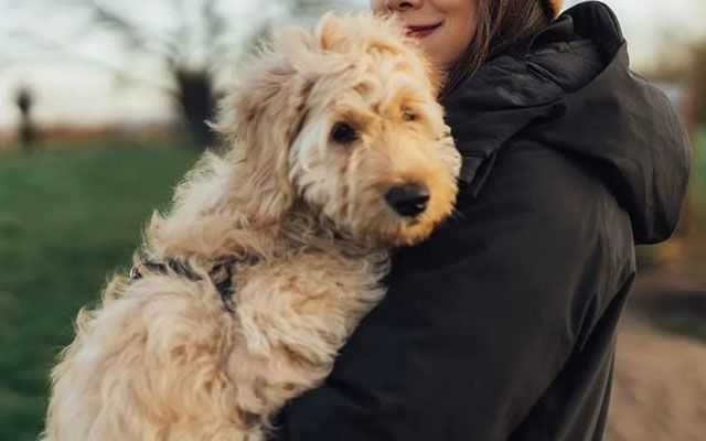'Studies have shown that dogs raise serotonin levels in humans and reduce blood pressure – and now I understand why.'