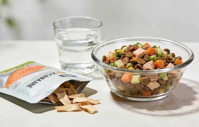 What Are Dog Food Toppers? 