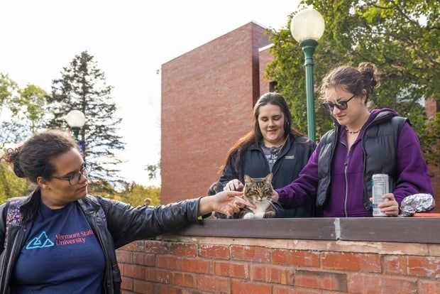 College awards popular campus cat with honorary "doctor of litter-ature" degree