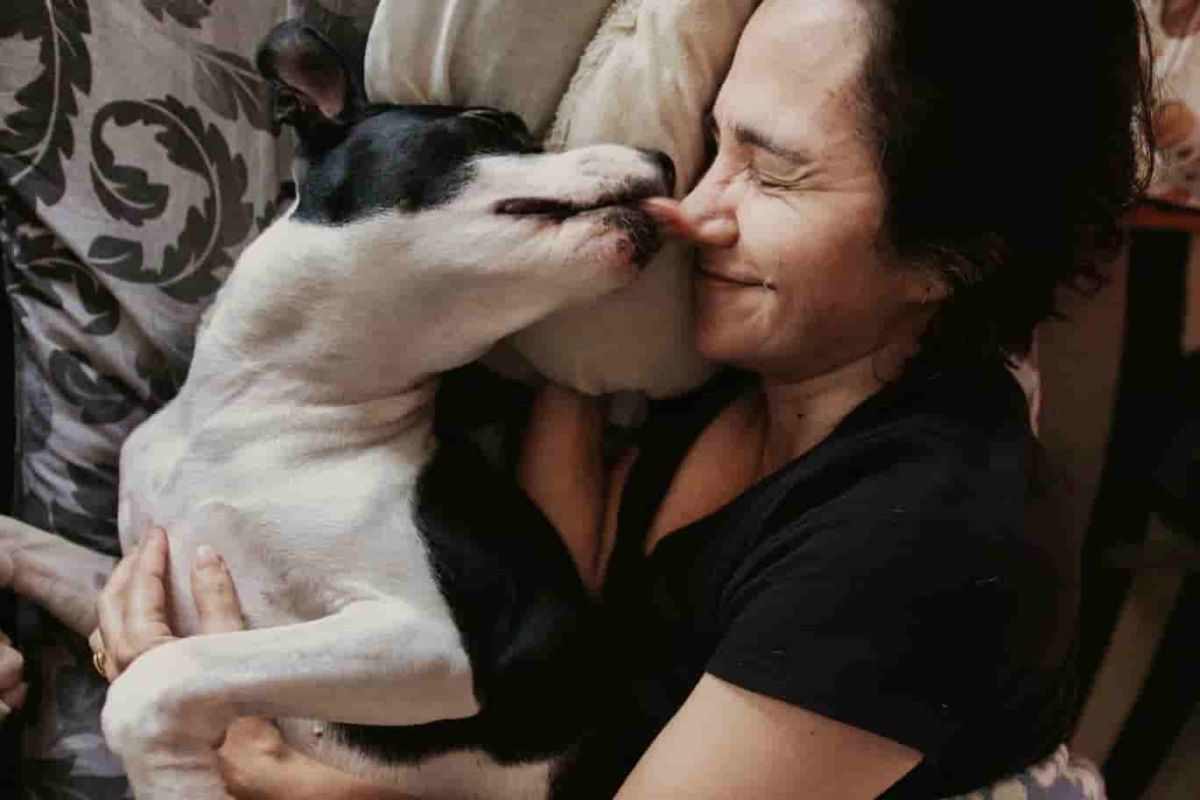 Should you let your pets sleep on the bed? Experts say it’s not that simple