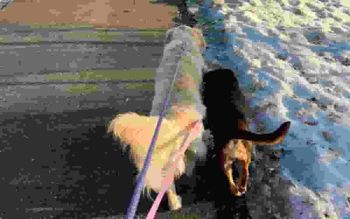 20260226/8bb90216aeeb1e50be73101aa2754135.jpg