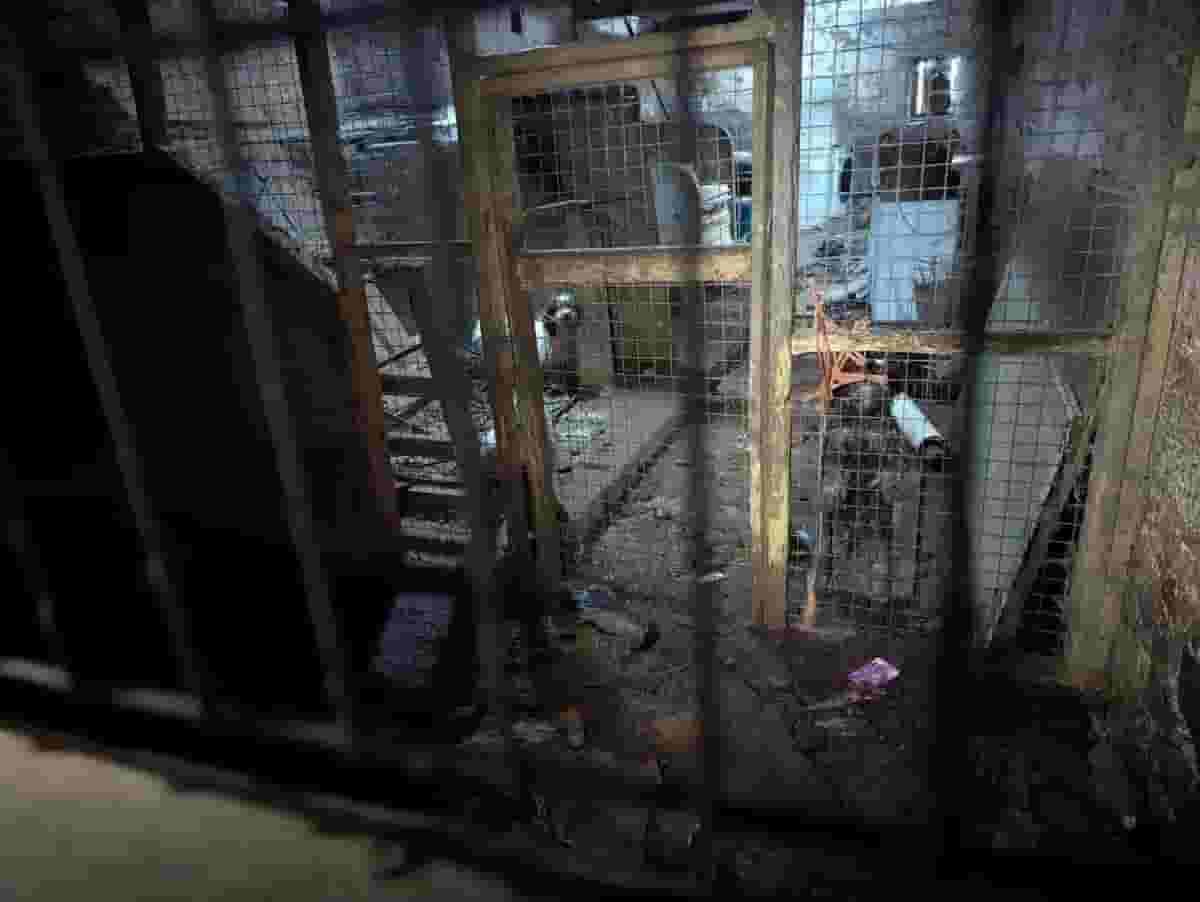 'Rotting remains' of animals found on 'nightmare farm' in horror abuse case