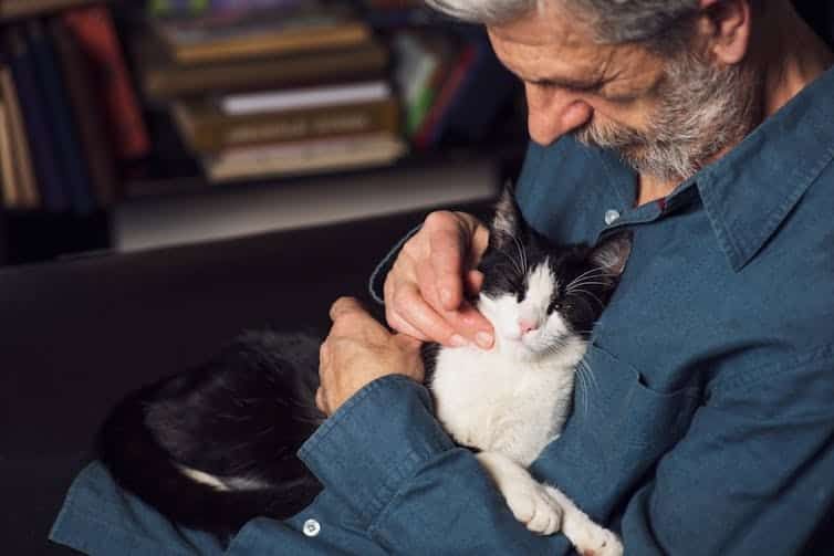 Cats can get dementia too – here are the eight signs to look out for
