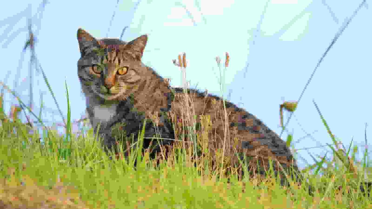 20260312/5e7d85daa4a69d3aa0b4a720d9f9a7dc.jpg