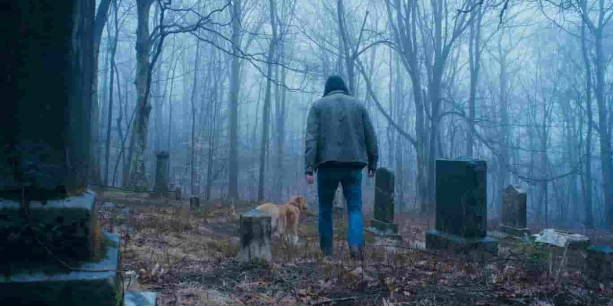 Dog asks to be considered for an Oscar after breakout horror movie role