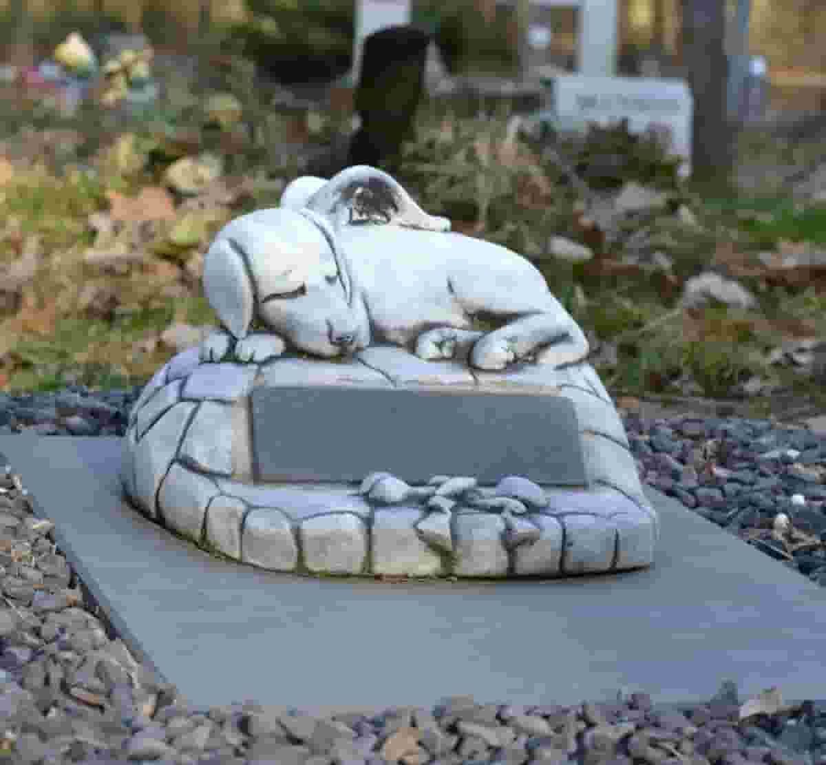 Pet burial: How to prepare your pet’s final resting place