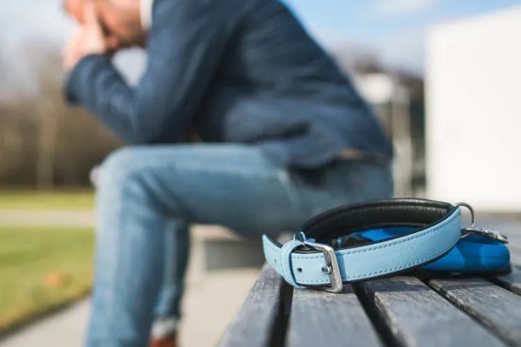 Grieving Pet Owners Are Turning to AI