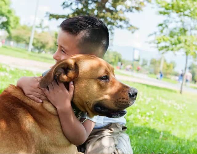 Why Hugging Your Dog May Be Doing More Harm Than Good